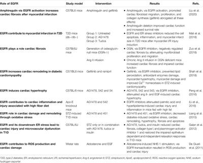 The Role of Epidermal Growth Factor Receptor Family of Receptor Tyrosine Kinases in Mediating Diabetes-Induced Cardiovascular Complications